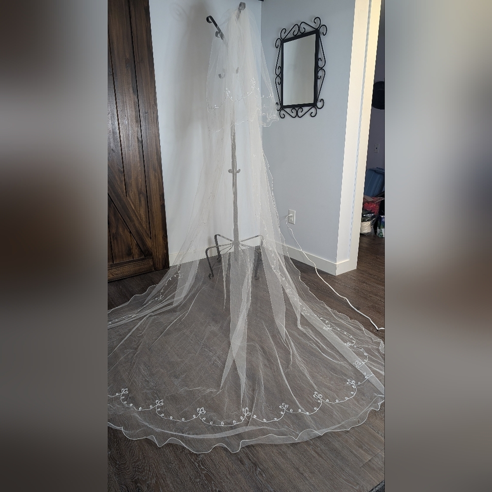 Elegant Sheer Wedding Veil with Floral Embroidery And Curly Wire Edge
